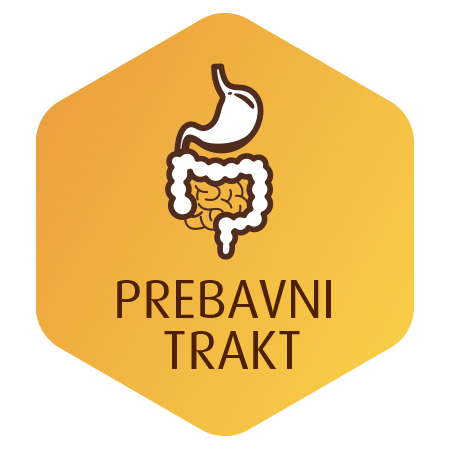 ikone_prebavni-trakt-450x450